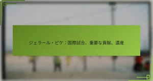 ジェラール・ピケ：国際試合、重要な貢献、遺産