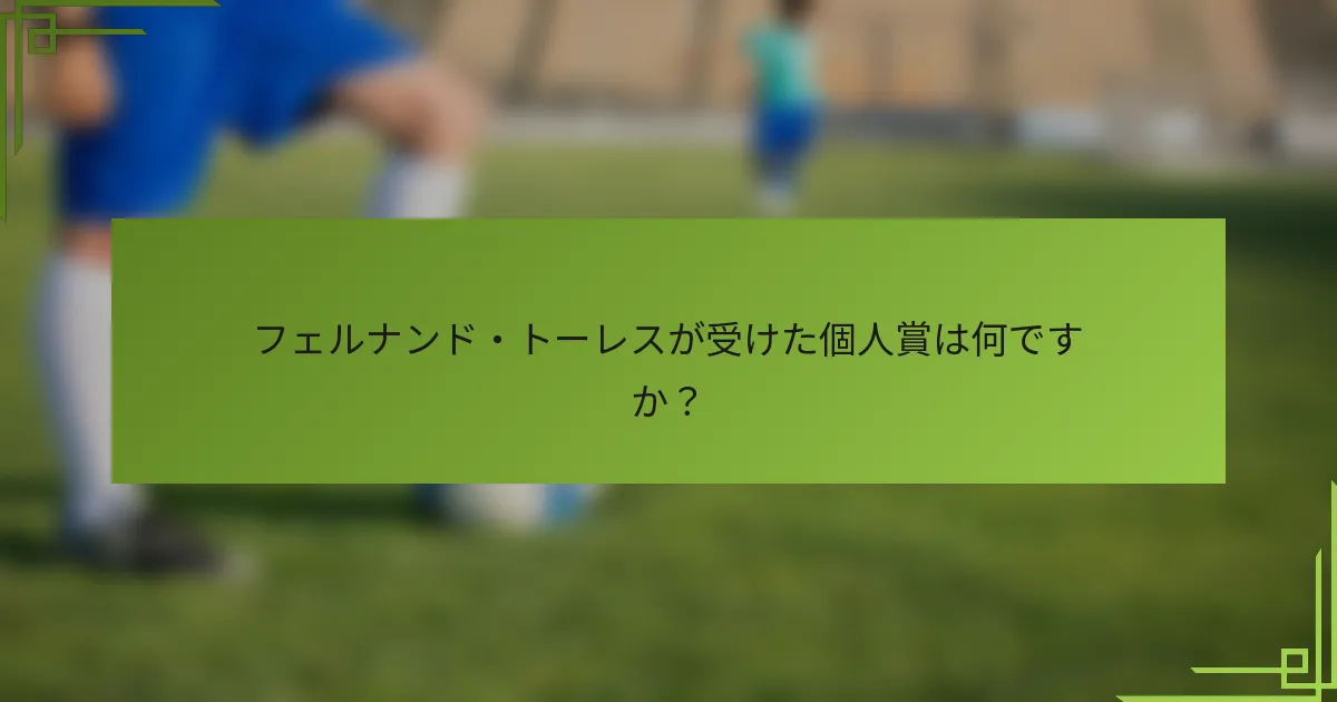 フェルナンド・トーレスが受けた個人賞は何ですか？